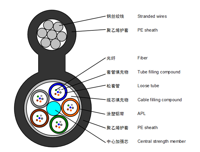 GYTC8A4 (1)