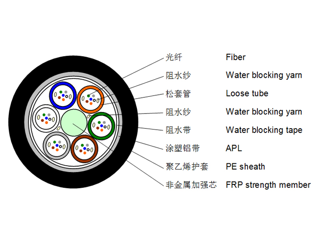 DCFA4 (1)